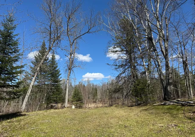 Homes for sale in Emily, MN | 41174 Yellow Birch Ln, Emily, MN 56447 | MLS# 7019559