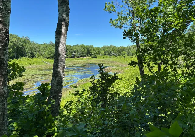 1st image of Tbd Fawn Trl Ne, Longville, MN 56655 | MLS# 7020428