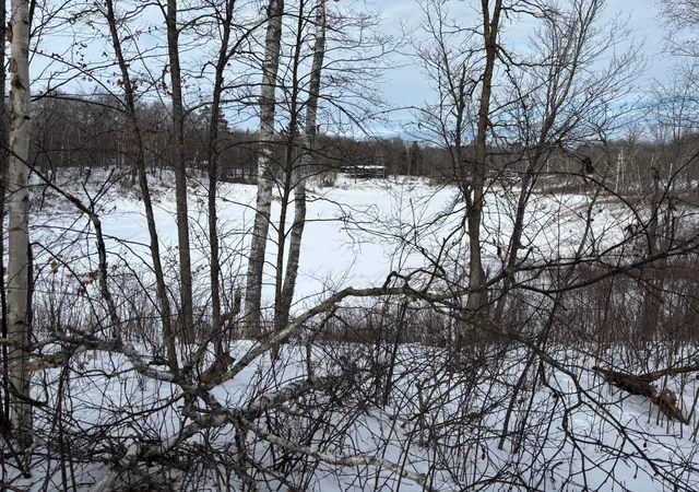 2nd image of Tbd Fawn Trl Ne, Longville, MN 56655 | MLS# 7020428