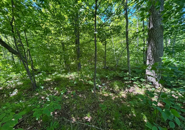 Photo 3 of Land for sale at Tbd Fawn Trl NE, Longville, MN 56655 | MLS# 7020428 | Listing updated on 2026-06-30