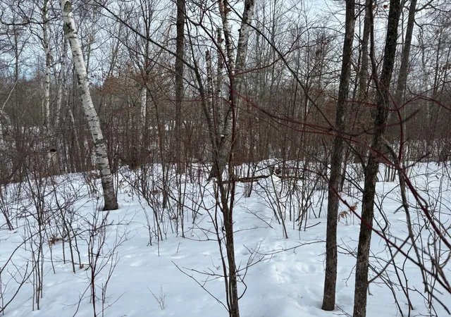 Photo 4 of Land for sale at Tbd Fawn Trl NE, Longville, MN 56655 | MLS# 7020428 | Listing updated on 2026-06-30