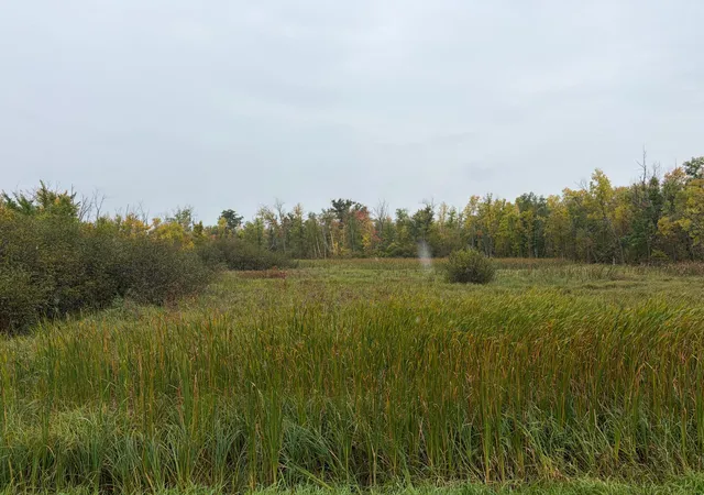 Photo 3 of Land for sale at Xxx Stevens Rd, Onamia, MN 56359 | MLS# 7020713 | Listing updated on 2026-09-24