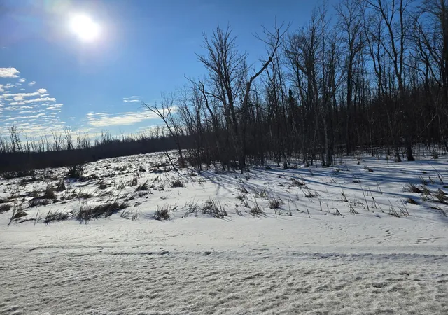 5th image of Xxx Stevens Rd, Onamia, MN 56359 | MLS# 7020713