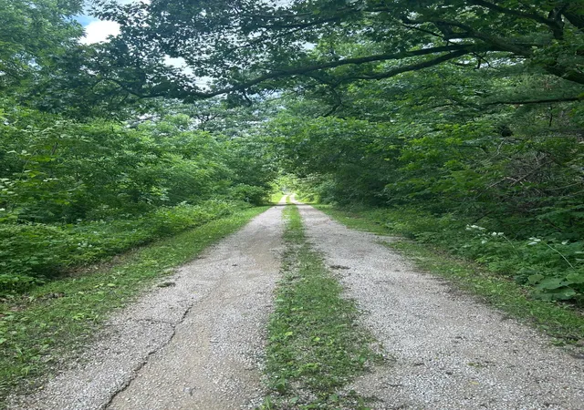 5th image of Xxx Hwy 52, Fountain, MN 55935 | MLS# 7021350