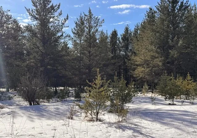 4th image of Tbd Pine Cone Dr, Menahga, MN 56464 | MLS# 7022927