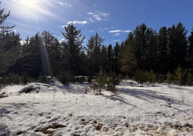 5th image of Tbd Pine Cone Dr, Menahga, MN 56464 | MLS# 7022927