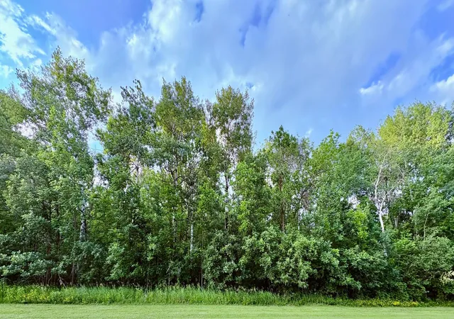 Photo 4 of Land for sale at Tbd Minnesota Ave NE, Warroad, MN 56763 | MLS# 7022980 | Listing updated on 2026-07-12