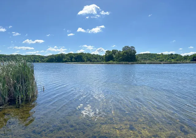 5th image of 24718 W Elbow Rd, Pelican Rapids, MN 56572 | MLS# 7025151