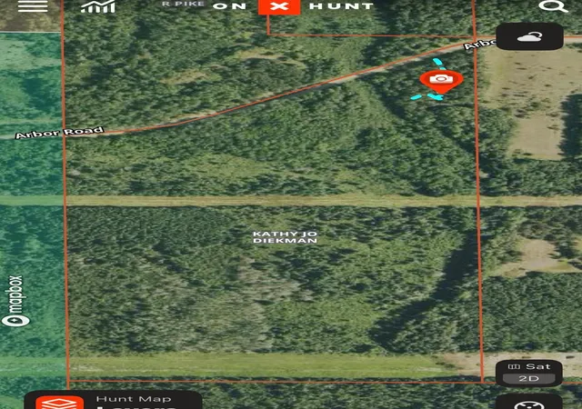 3rd image of Tbd Arbor Rd, Park Rapids, MN 56470 | MLS# 7025158