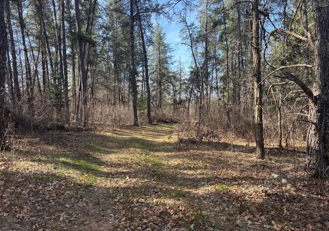 5th image of Tbd Arbor Rd, Park Rapids, MN 56470 | MLS# 7025158
