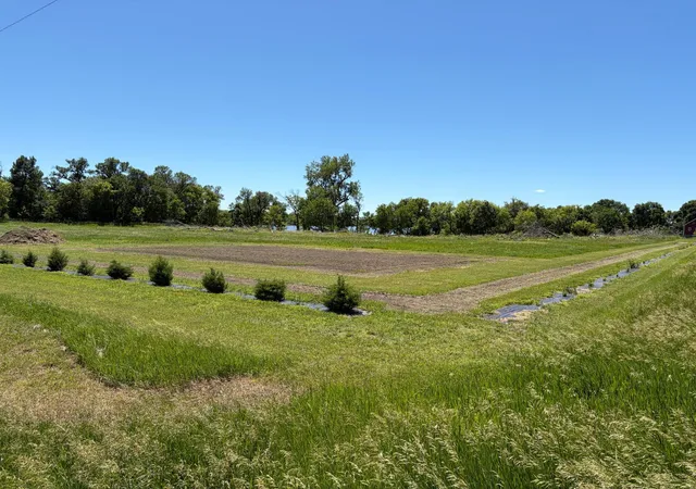 Homes for sale in Fulda, MN | Tbd Tripp, Fulda, MN 56131 | MLS# 7025302