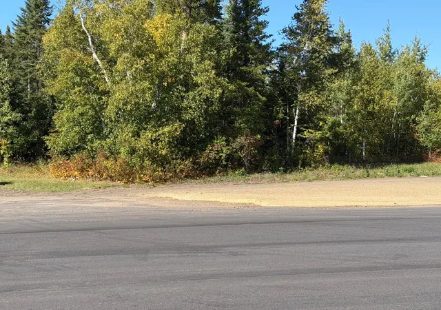 Photo 3 of Land for sale at Tbd State Hwy 11, Warroad, MN 56763 | MLS# 7026863 | Listing updated on 2026-09-29