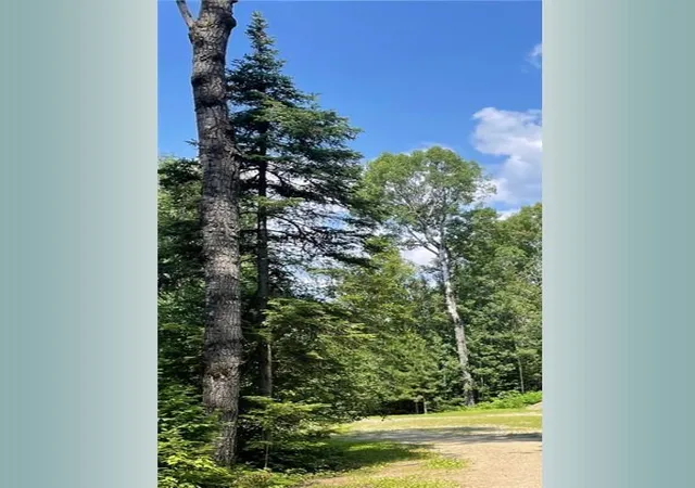 Photo 3 of Land for sale at 23xx Low Crk Rd, Ely, MN 55731 | MLS# 7026868 | Listing updated on 2026-05-07