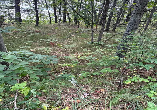 Photo 3 of Land for sale at Lot 77 Airport Rd, Pequot Lakes, MN 56472 | MLS# 7027869 | Listing updated on 2026-07-31