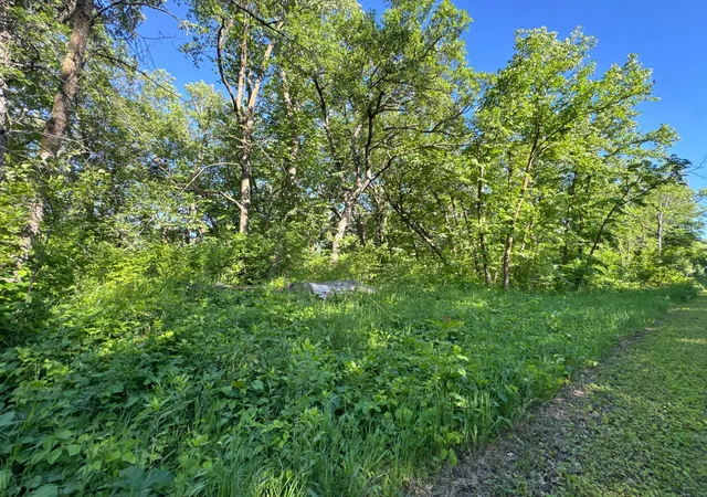 Homes for sale in Underwood, MN | Xxxxx German Lake Rd, Underwood, MN 56586 | MLS# 7028045