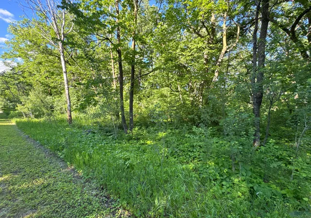 Homes for sale in Underwood, MN | Xxxxx German Lake Rd, Underwood, MN 56586 | MLS# 7028045