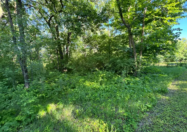 Homes for sale in Underwood, MN | Xxxxx German Lake Rd, Underwood, MN 56586 | MLS# 7028045