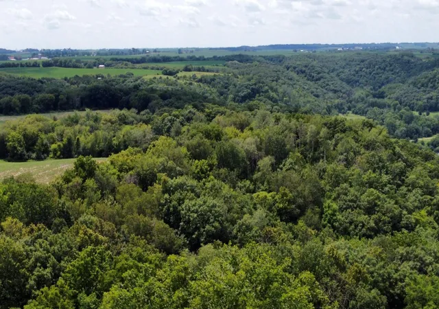 16th image of Tbd 728th Street, Lake City, MN 55041 | MLS# 7028471