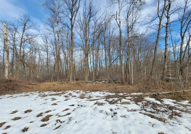 4th image of Xxxx Black Bear Dr Sw, Motley, MN 56466 | MLS# 7029398