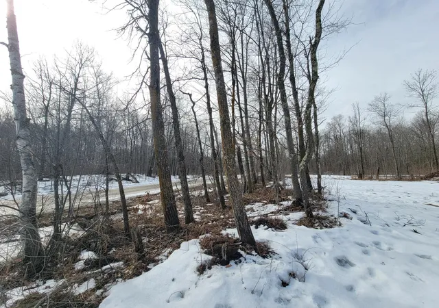 5th image of Xxxx Black Bear Dr Sw, Motley, MN 56466 | MLS# 7029398