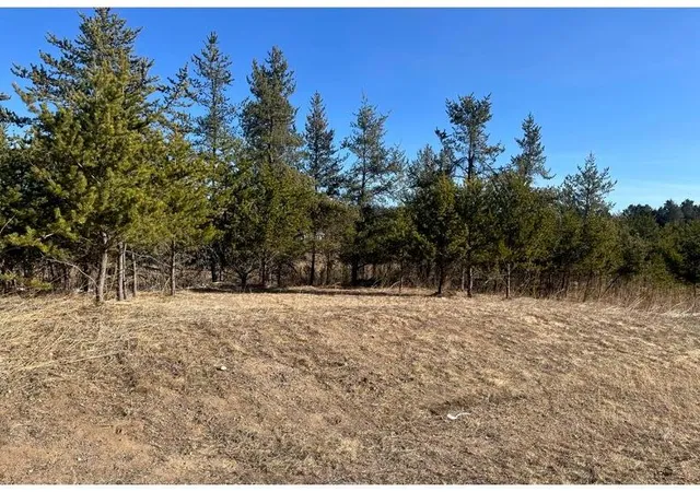 2nd image of Tbd 1st Ave, Pequot Lakes, MN 56472 | MLS# 7029693