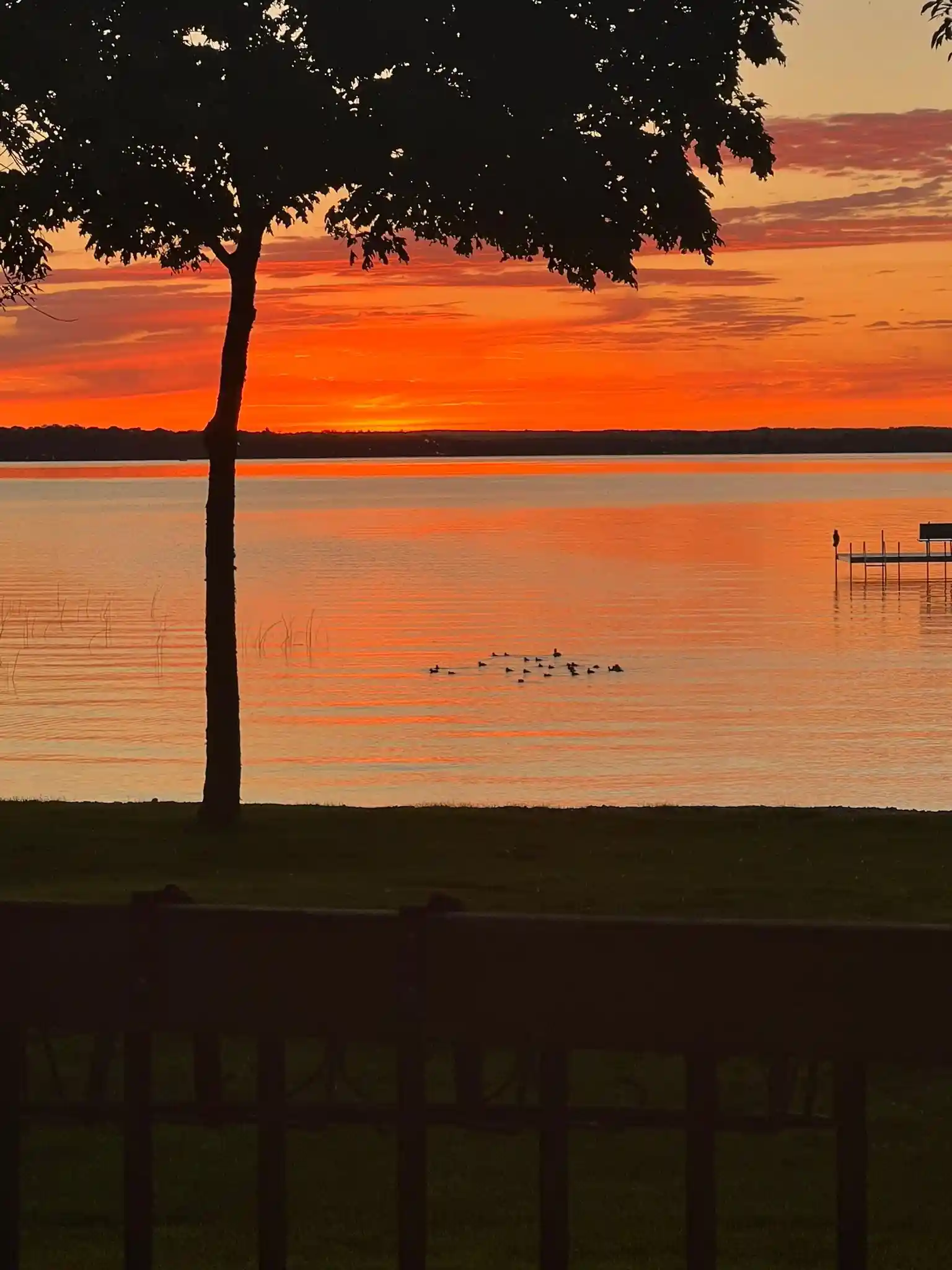 Photo 1 of Land for sale at 11095 Ottertail Point Dr Nw, Cass Lake, MN 56633 | MLS# 7030008 | Listing updated on 2026-10-09