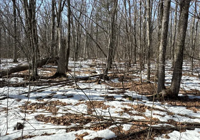 3rd image of 27Xx 11Th Ave, Chetek, WI 54728 | MLS# 7030416