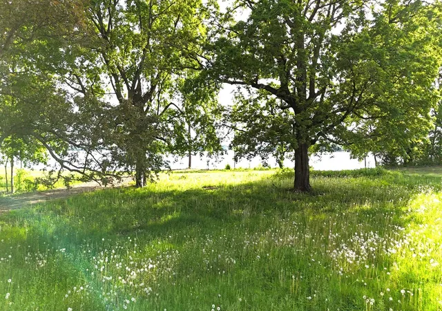4th image of 7700 Lake John Dr, Annandale, MN 55302 | MLS# 7032540