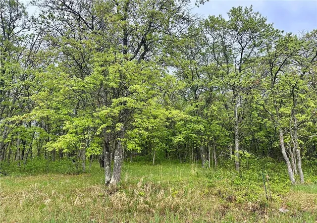 Homes for sale in Park Rapids, MN | Tbd Lot 3 204Th St, Park Rapids, MN 56470 | MLS# 7032789