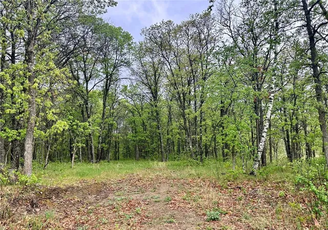 Homes for sale in Park Rapids, MN | Tbd Lot 3 204Th St, Park Rapids, MN 56470 | MLS# 7032789