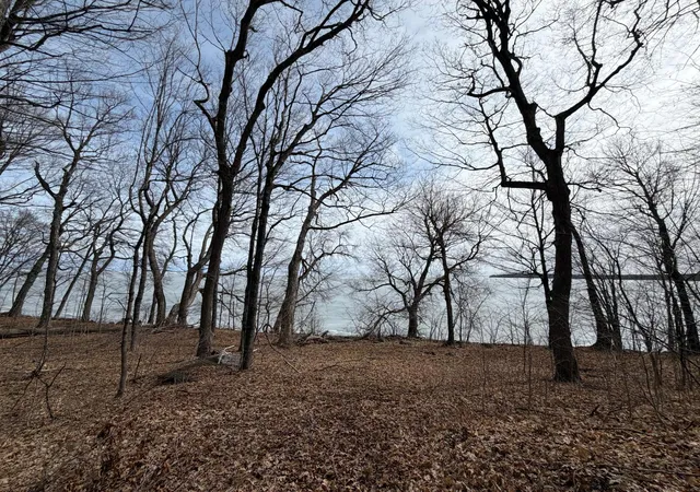 3rd image of Lot 39&40 Earle Brown Dr, Garrison, MN 56450 | MLS# 7033045