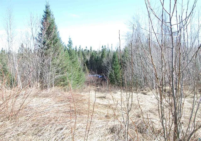 Homes for sale in South Range, WI | Lot 1 County Rd L, South Range, WI 54874 | MLS# 7033317