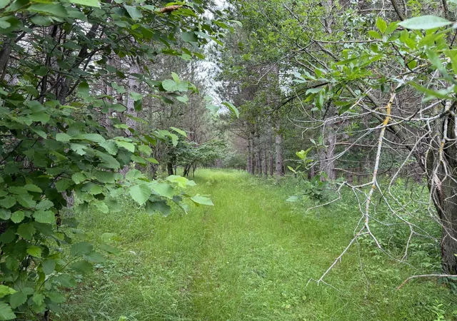 1st image of 32656 310th St, Browerville, MN 56438 | MLS# 7033439