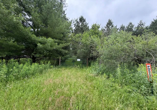 4th image of 32656 310Th St, Browerville, MN 56438 | MLS# 7033439