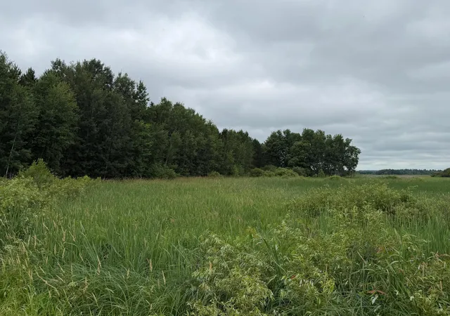 5th image of 32656 310Th St, Browerville, MN 56438 | MLS# 7033439