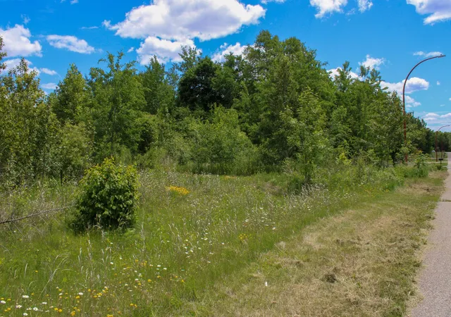 1st image of Tbd 7th St, Nashwauk, MN 55769 | MLS# 7033610