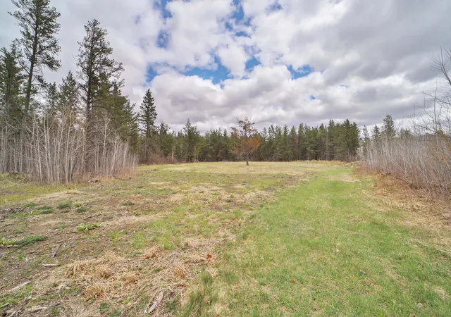Homes for sale in Motley, MN | Tbd 65Th Ave Sw, Motley, MN 56466 | MLS# 7033683