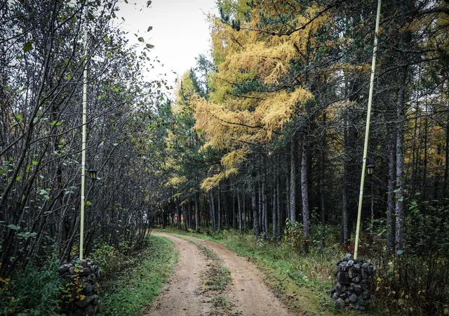 2nd image of 7839 Stromberg Rd, Embarrass, MN 55732 | MLS# 7033897