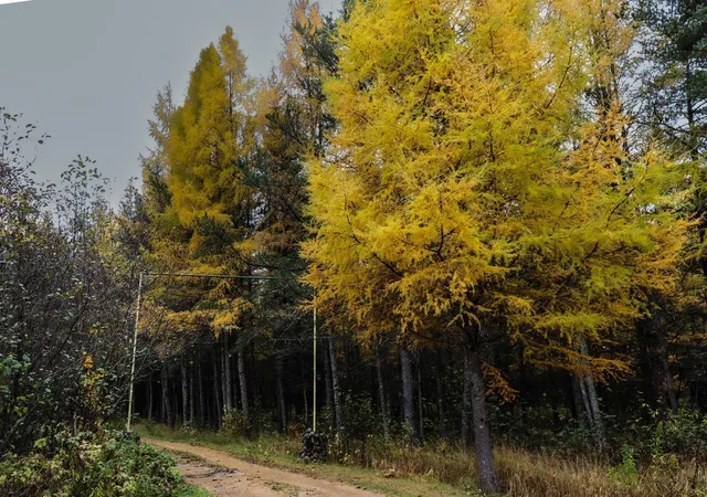 5th image of 7839 Stromberg Rd, Embarrass, MN 55732 | MLS# 7033897