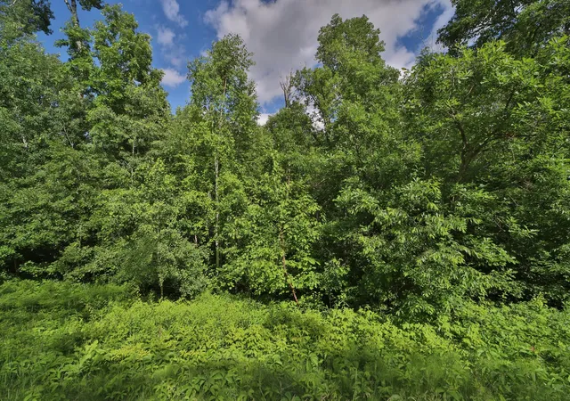 1st image of Tbd Percheron Dr, Pequot Lakes, MN 56472 | MLS# 7034150