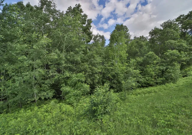 3rd image of Tbd Percheron Dr, Pequot Lakes, MN 56472 | MLS# 7034150
