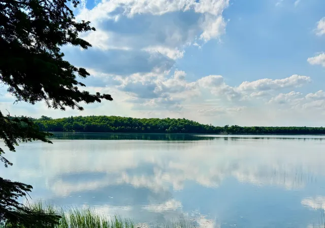 3rd image of 44148 Ida'S Rd, Osage, MN 56570 | MLS# 7034368