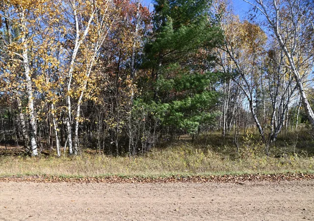 Homes for sale in Browerville, MN | Tbd Pacer Loop, Browerville, MN 56438 | MLS# 7034493