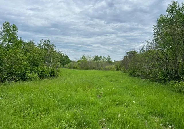 3rd image of Tbd Coneflower Dr Sw, Pine River, MN 56474 | MLS# 7034593