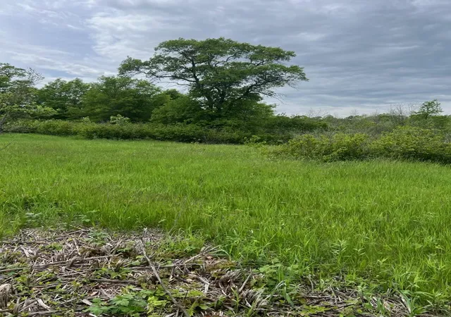 4th image of Tbd Coneflower Dr Sw, Pine River, MN 56474 | MLS# 7034593