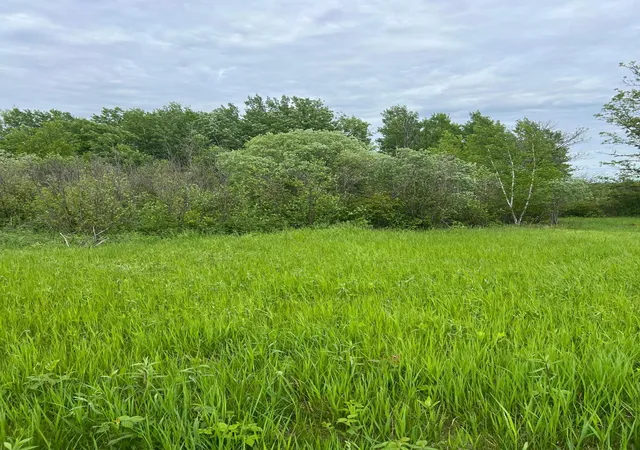5th image of Tbd Coneflower Dr Sw, Pine River, MN 56474 | MLS# 7034593