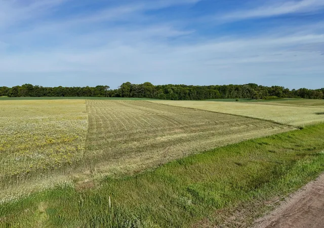 5th image of 507Xx 397Th Ave [D2], Frazee, MN 56544 | MLS# 7034597