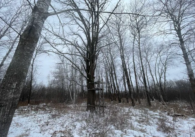 34th image of 27xx 320th Ave, Brook Park, MN 55007 | MLS# 7035089