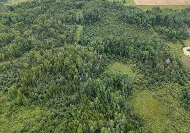 3rd image of 27Xx 320Th Ave, Brook Park, MN 55007 | MLS# 7035089