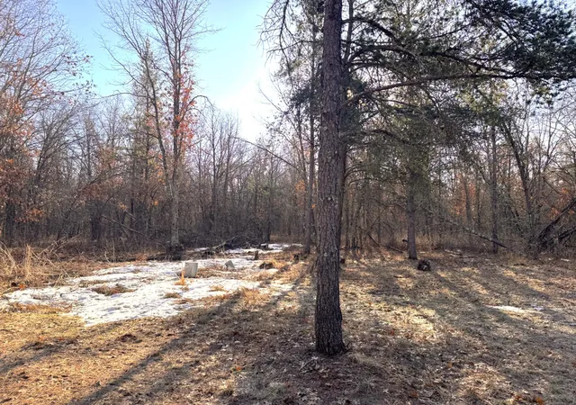 4th image of 27672 Norway Point Rd, Grantsburg, WI 54840 | MLS# 7036641